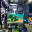 Decal phông nền bầu trời xanh