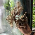 Bonsai 23cm
