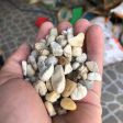 Đá cuội 5-10mm