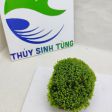 Minifiss đá cục