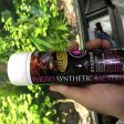 ISTA PHOTO SYNTHETIC BACTERIA