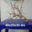 CÂY LỦA 10