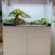 Bonsai 2 tán