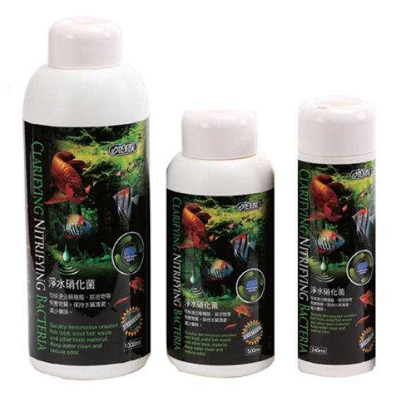ISTA CLARIFYING NITRIFYING BACTERIA 
