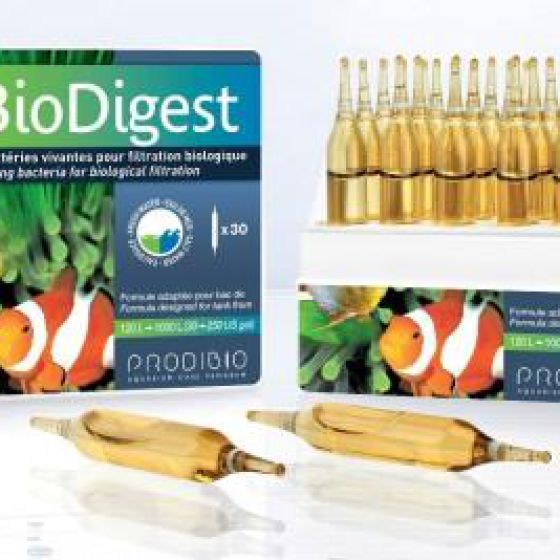Bio digest vi sinh sống
