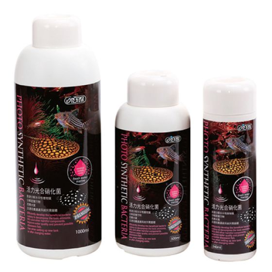 ISTA PHOTO SYNTHETIC BACTERIA