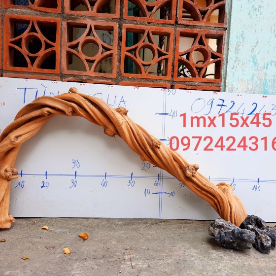 CÂY LỦA 31