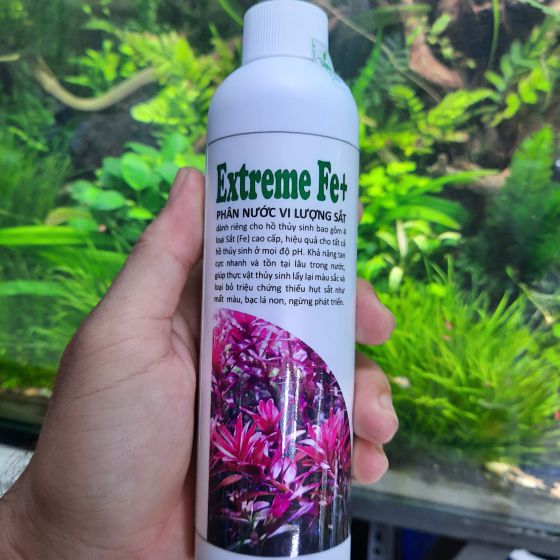 Phân nước vi lượng bổ sung sắt 