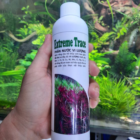 Phân nước cho bucep và rấy 