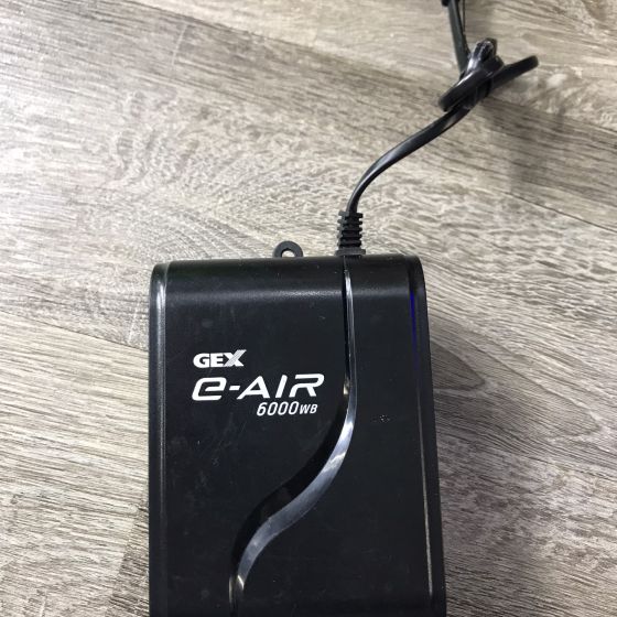 Sủi oxy gex 6000
