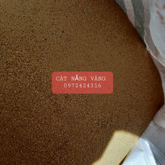 Cát nắng vàng 
