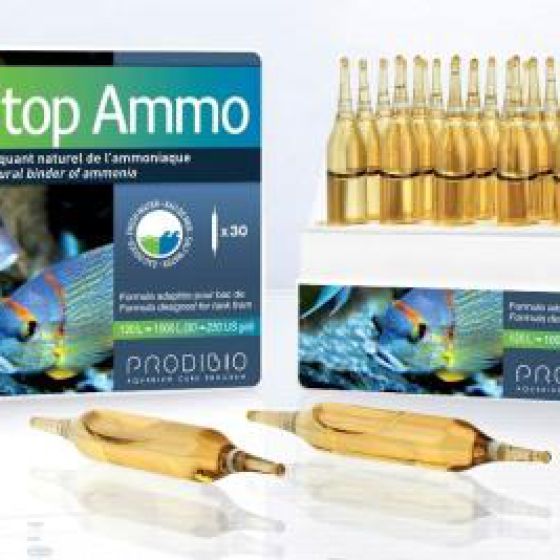 Stop Ammo trung hoà Amoniac