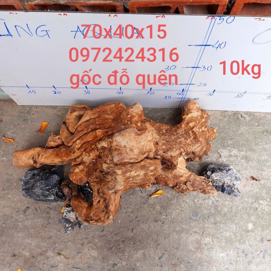 CÂY LỦA 13