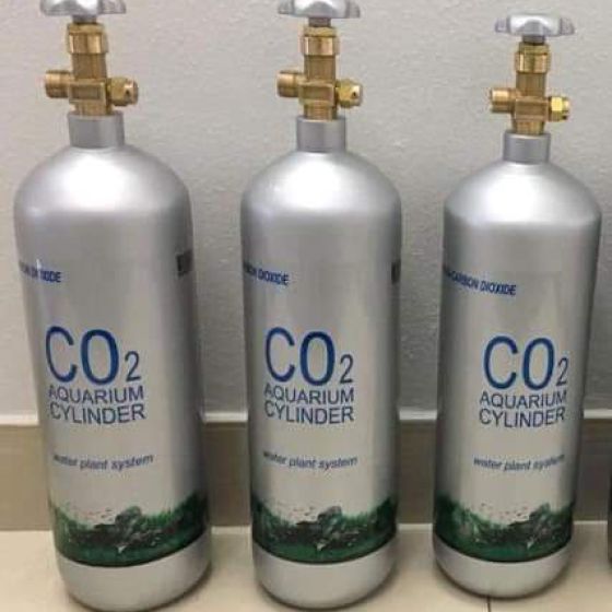 Bình CO2 3KG mới 100%