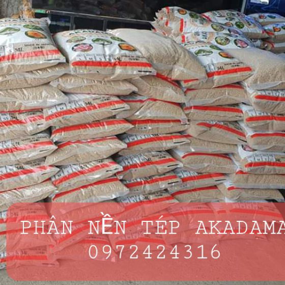 PHÂN NỀN AKADAMA