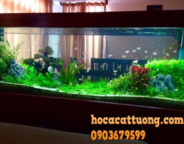 0712754707804170.jpg